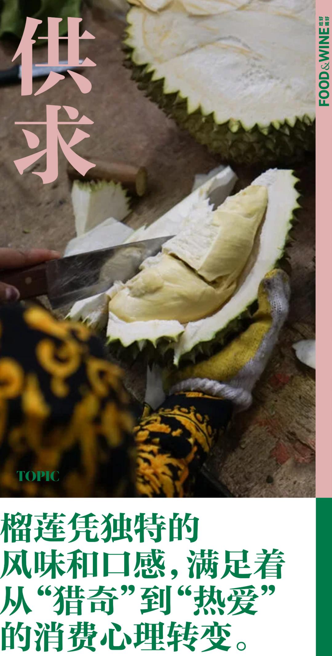 中国进口榴莲种植,中国市场所有榴莲都是进口的吗