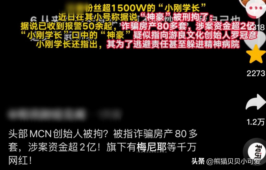 新型房产诈骗骗局,买二手房被骗的真实案例深圳