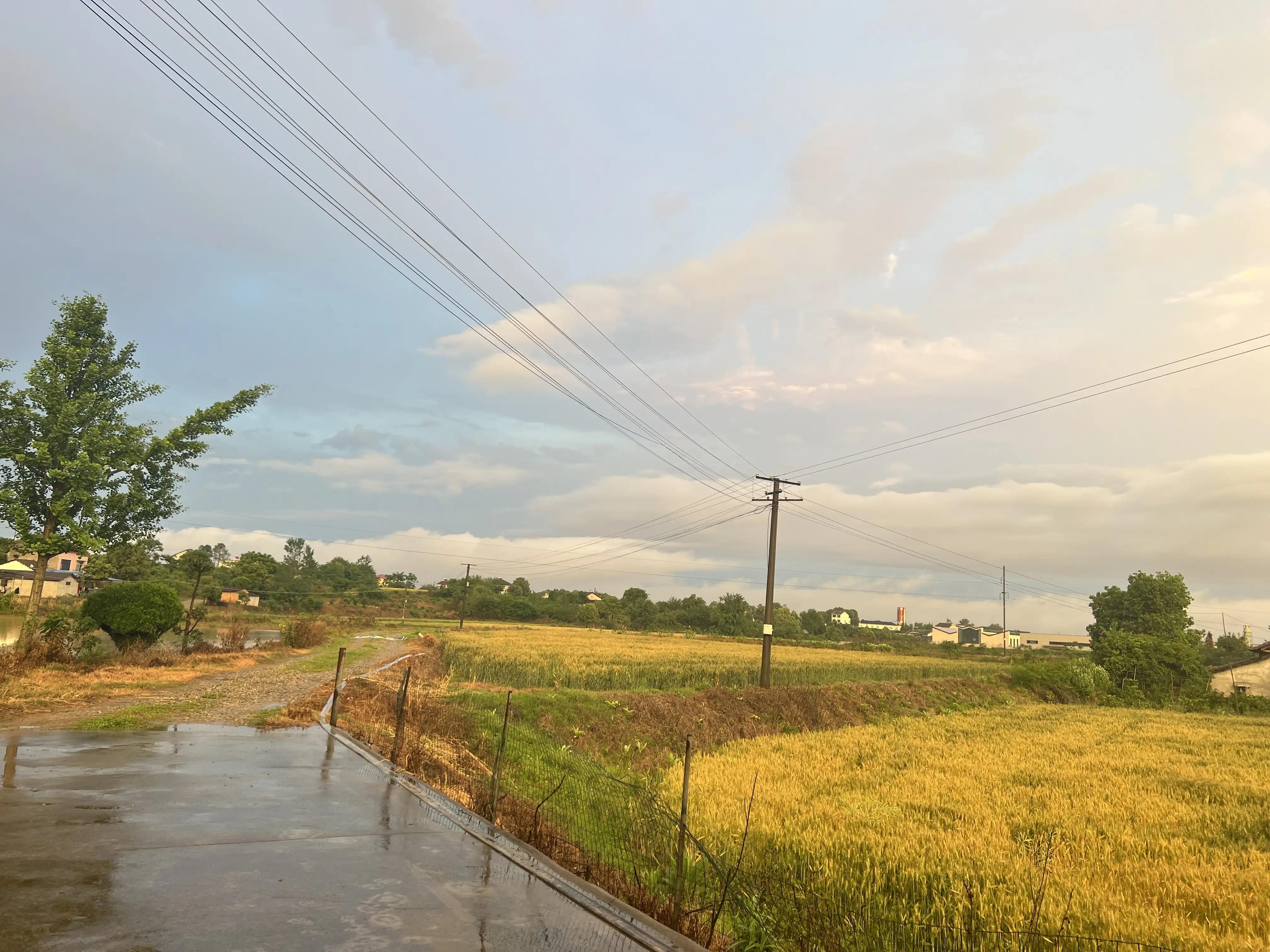 婆婆的算计——之月子里的糟心事儿（22）