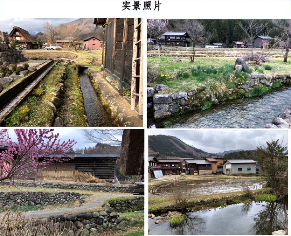 乡村旅游做什么项目,乡村旅游做点什么生意好