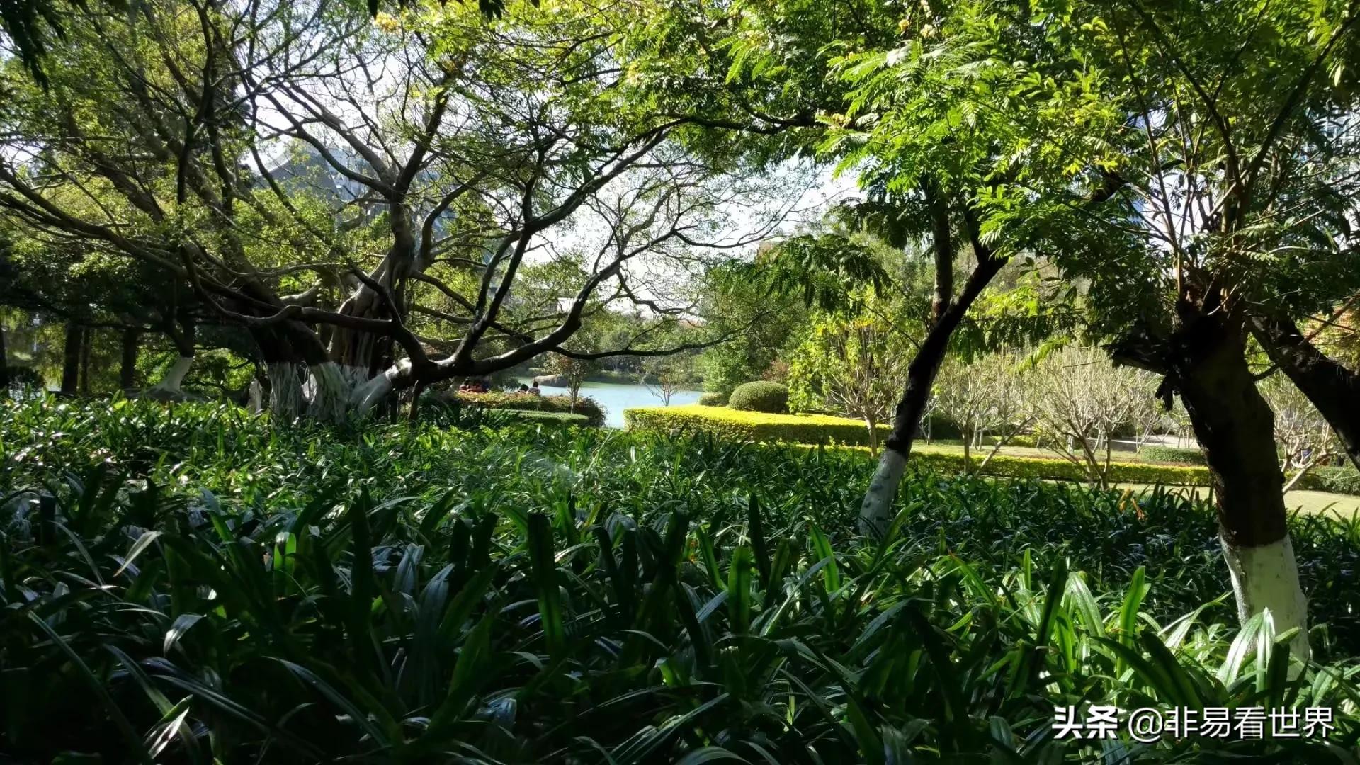 回忆一下我在厦门的生活,厦门是个慢生活的都市
