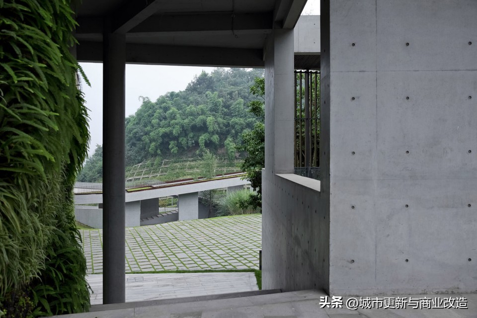 桃源居平面图,重庆桃源居全景图