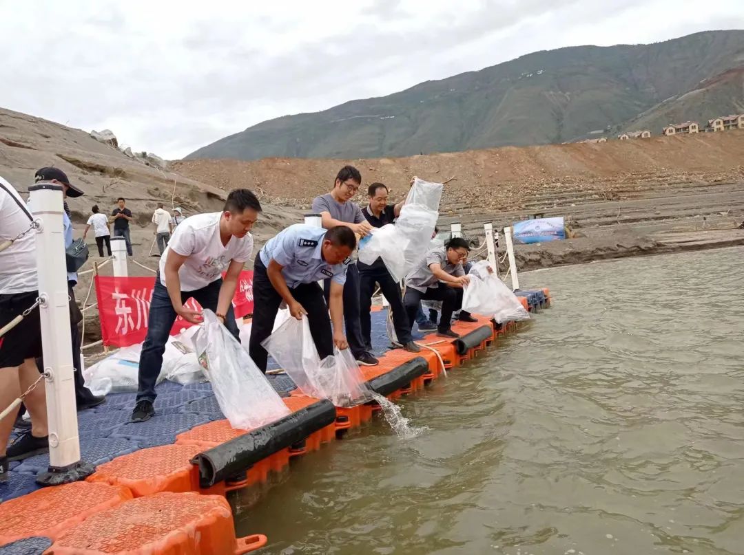 警察查无人区拦车真实事件,警察在马路拦车抓捕现场