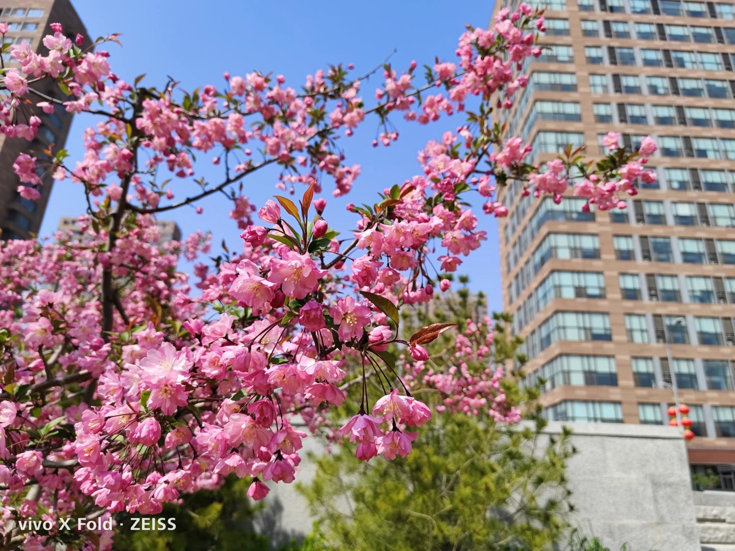 vivoxfold折叠屏评测,vivoxfold对比华为matex2