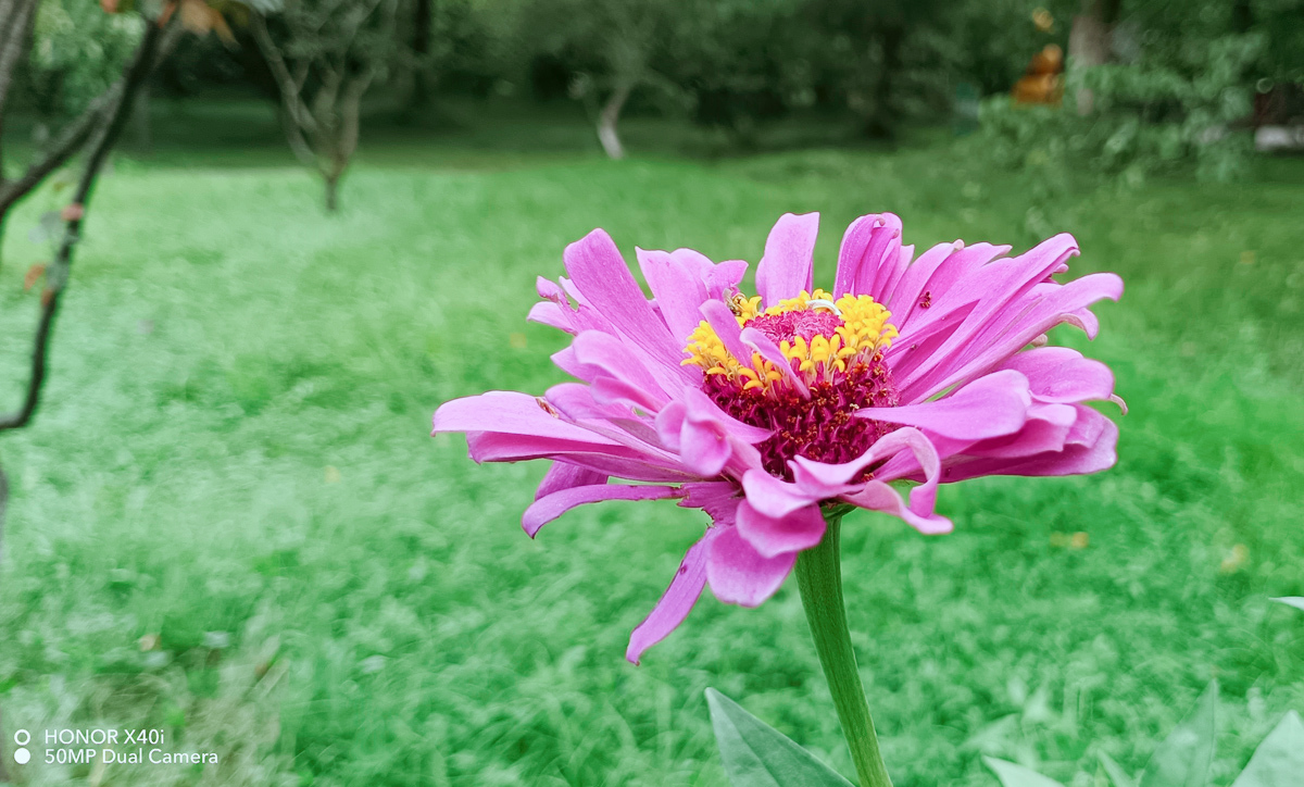 荣耀x40i屏幕参数,荣耀x40i深度测评