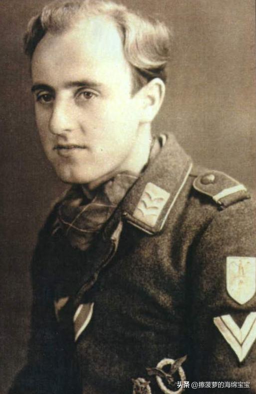 霍尔姆盾章二战德国,二战德国军奖章