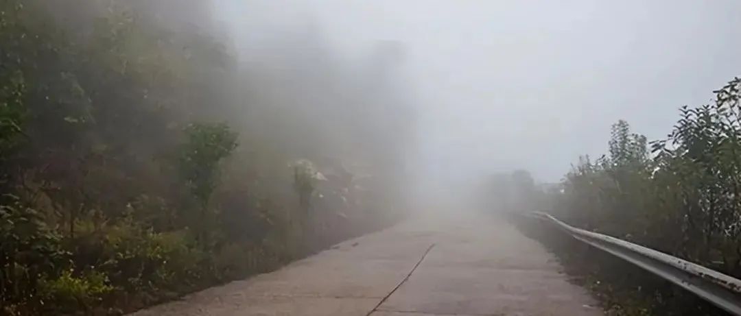 小心,冬春交际多雨雾!特别关注“流动杀手”