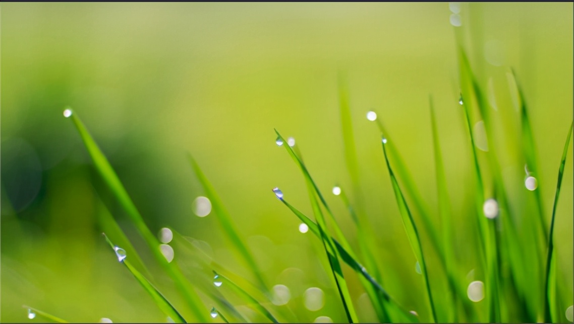 2020版体育专项考试与评分标准,体育专项考试现场视频