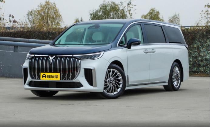 岚图梦想家mpv混动版用车感受,全球首款新能源mpv岚图梦想家