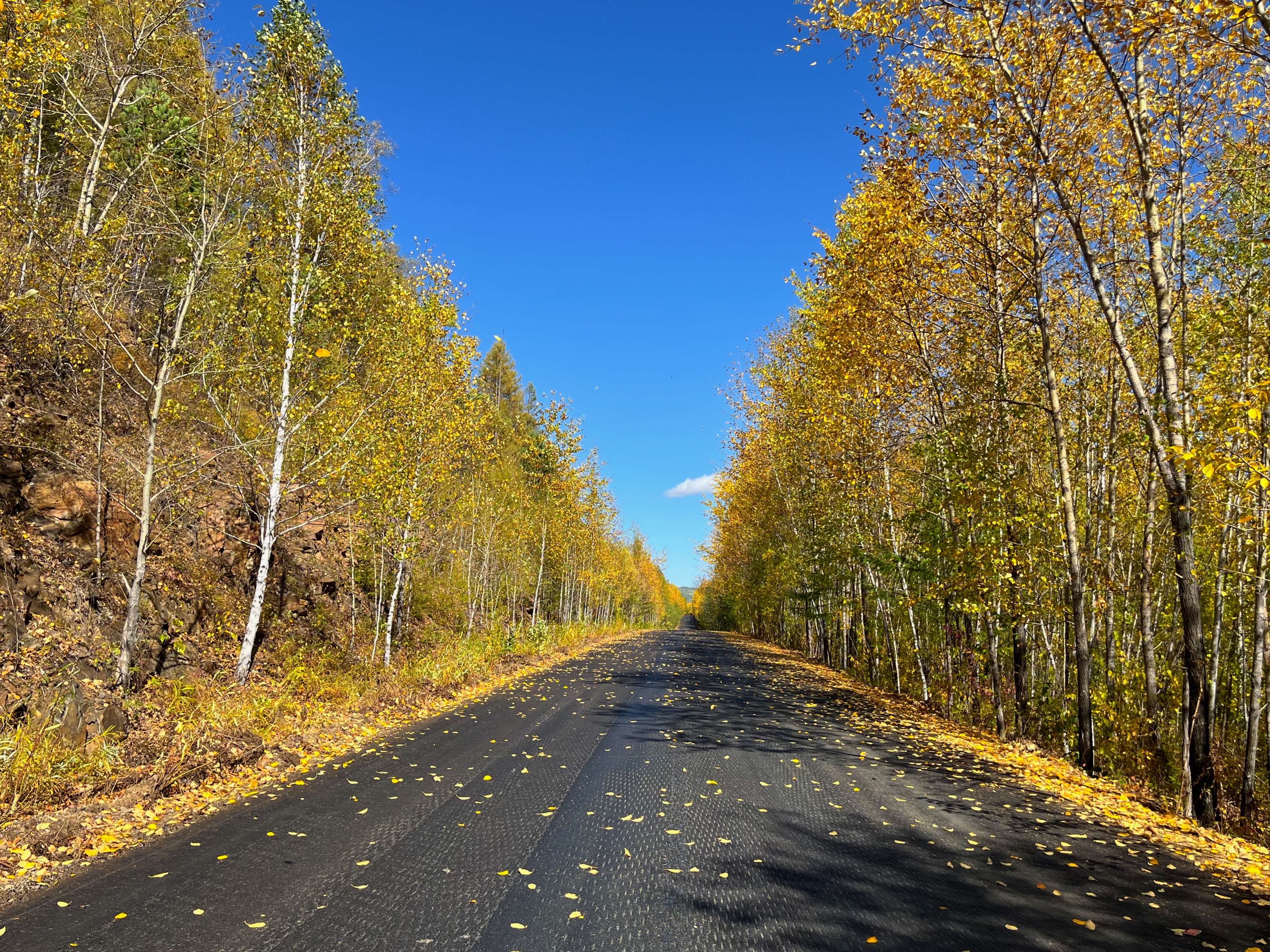 夫妻自驾11000公里,夫妻两人自驾游最新视频