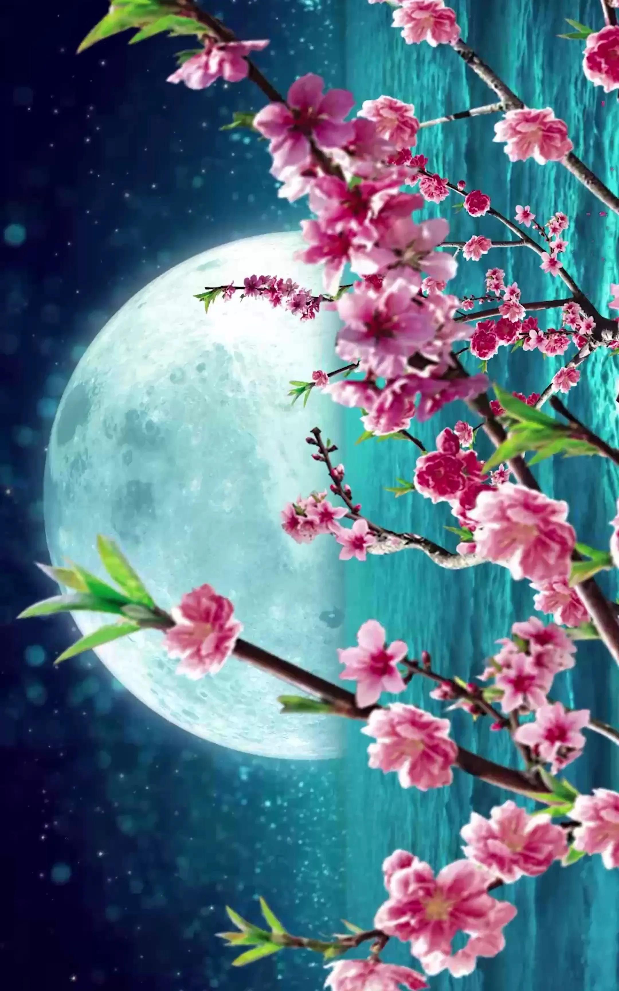 水边桃花月亮唯美图片,月亮竹影唯美图片