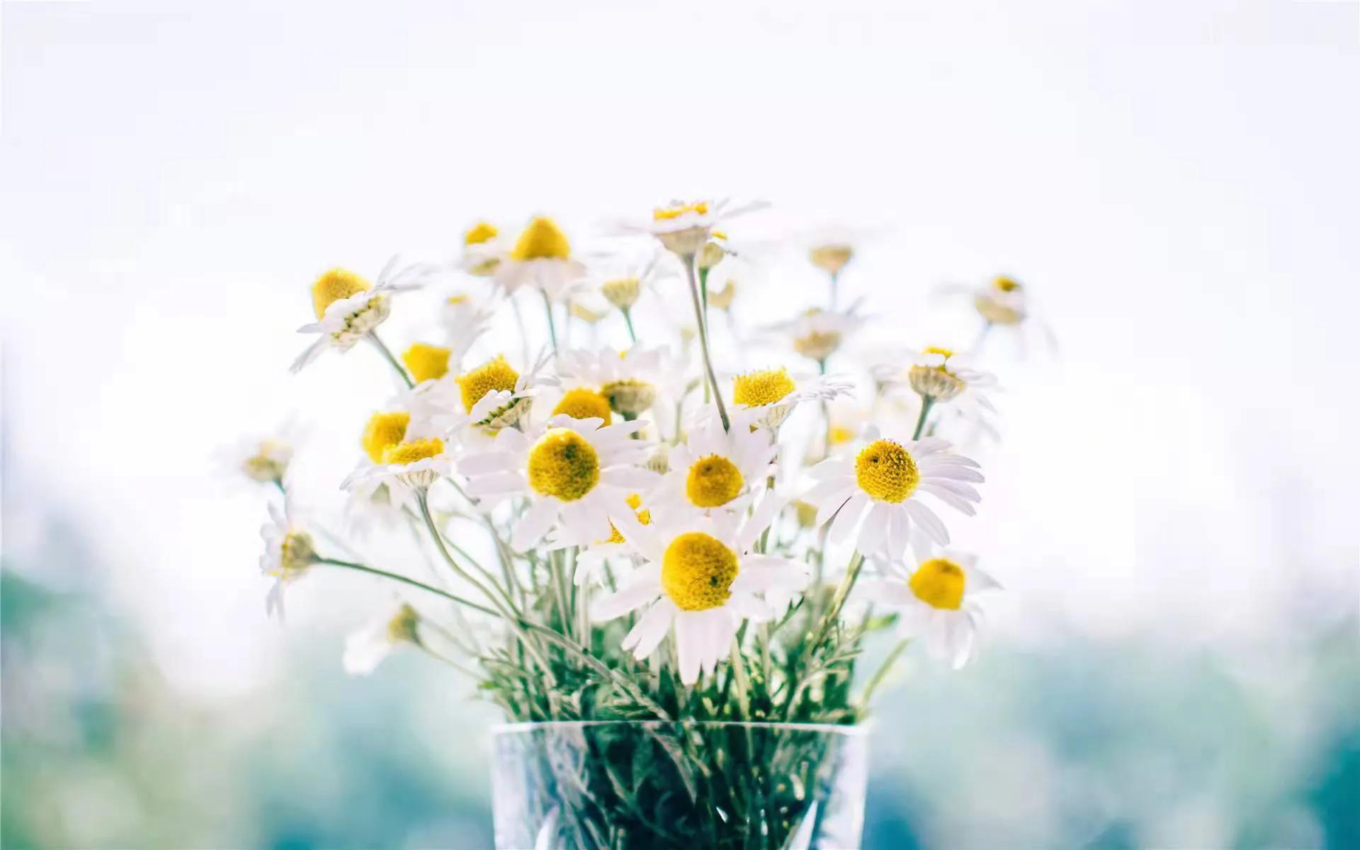 皮肤敏感干燥粗糙长痘,皮肤干燥长痘用什么护肤品