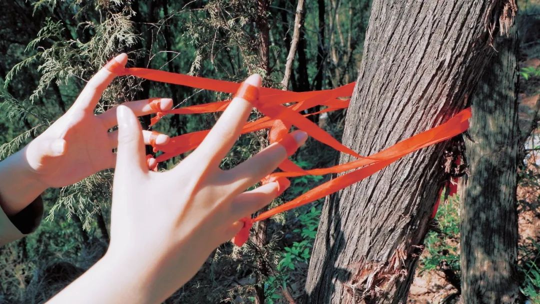 来自五湖四海的大学生摄影爱好者们，在拍些什么？