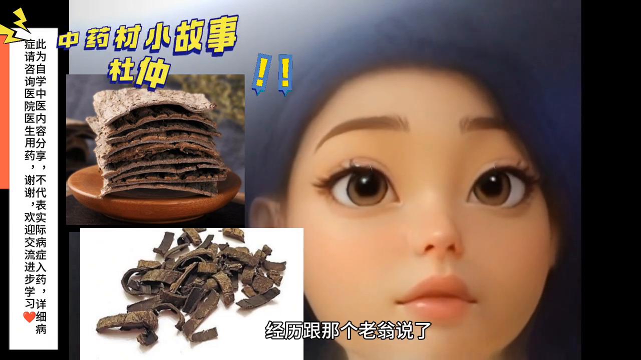 中药材杜仲金樱子,中药杜仲的故事