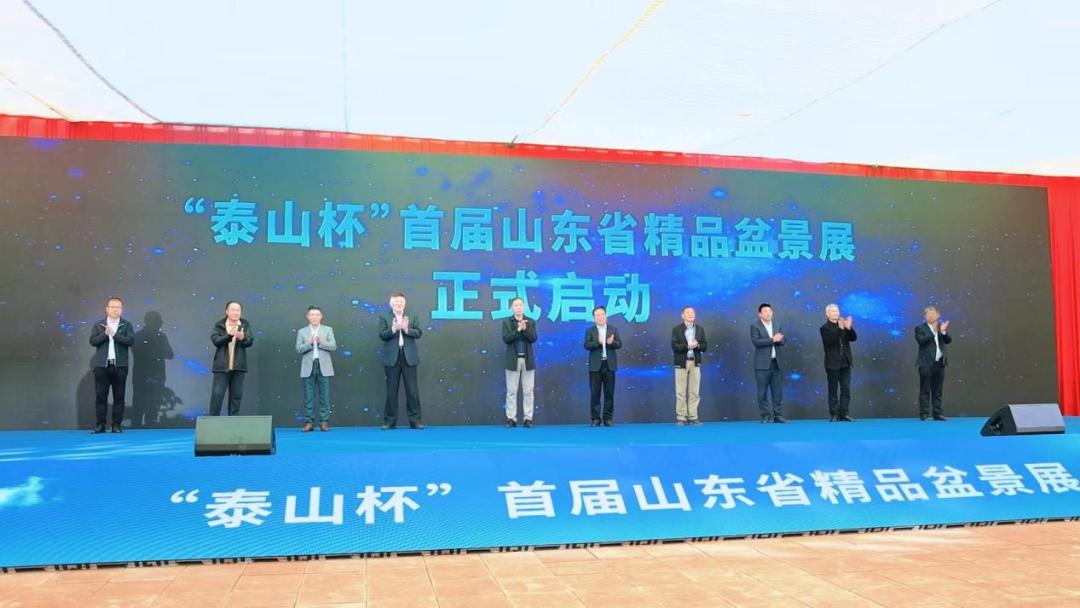 泰山杯书画展,泰山杯盆景展