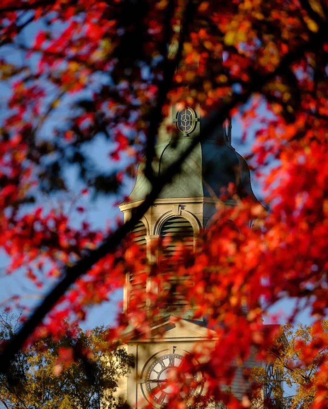 独树一格的宝座学府：维克森林大学