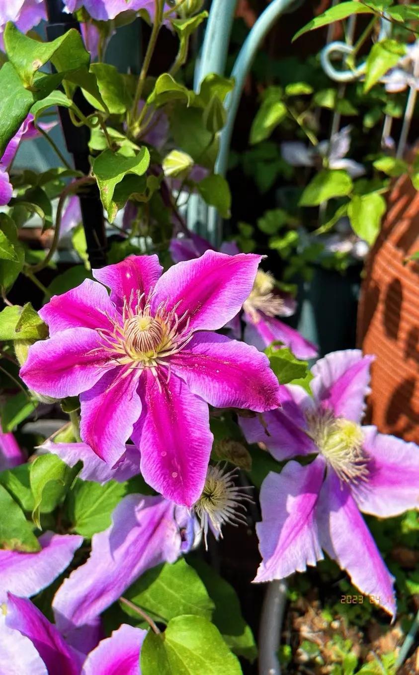 童言稚语幼儿视频,女儿童言稚语记录