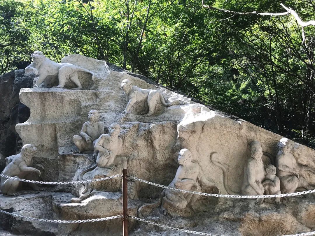 怀柔幽谷神潭风景区值得去吗,怀柔幽谷神潭恢复开放了吗