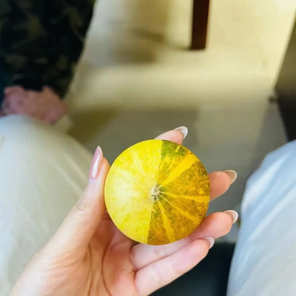 葫芦案真实案件,葫芦案事件始末