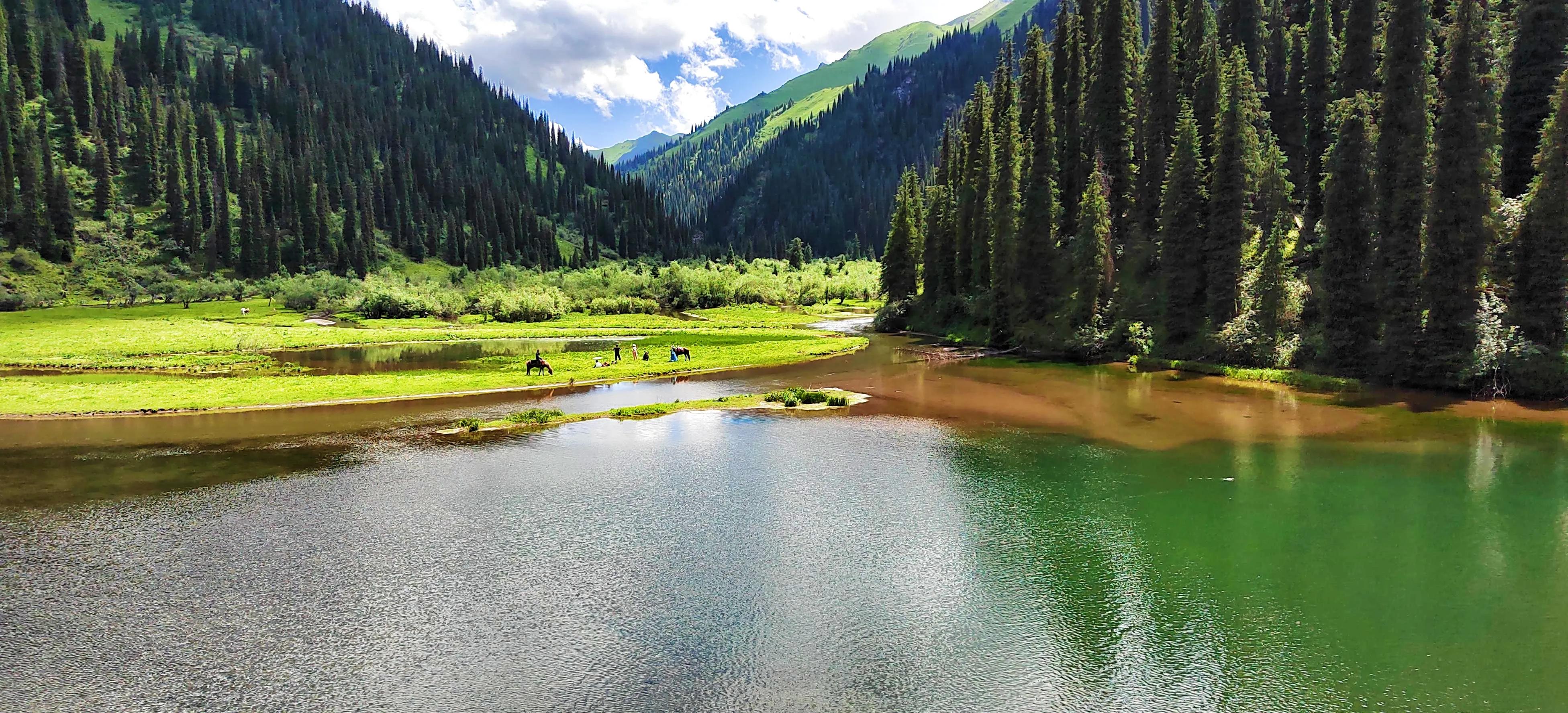 穿越森林探险视频,穿越森林探险之旅