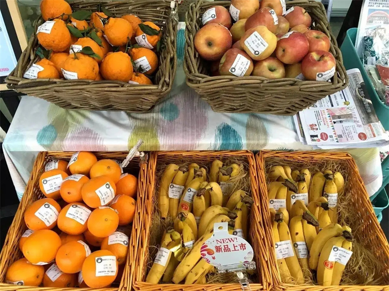 2006年，政府牵头组织租给日方千余亩地，日本人却闲置多年，为何