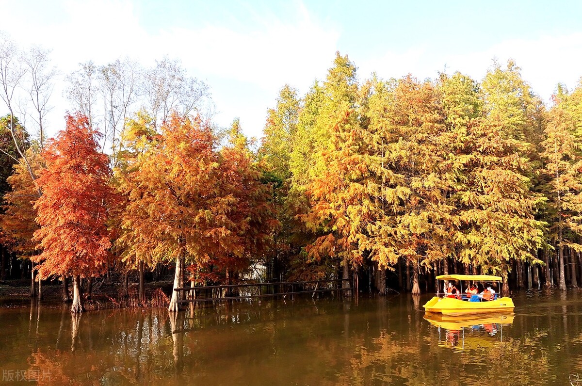 上海游玩免费景点推荐,上海推荐逛的免费景点