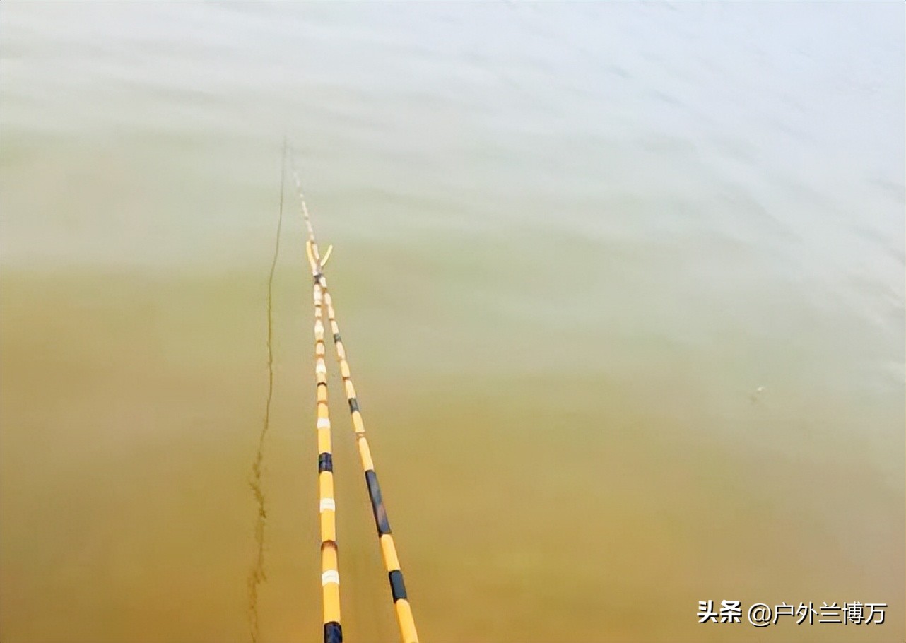 哪一款5米4并继竿不那么重头,并继竿1000内选择国产还是进口