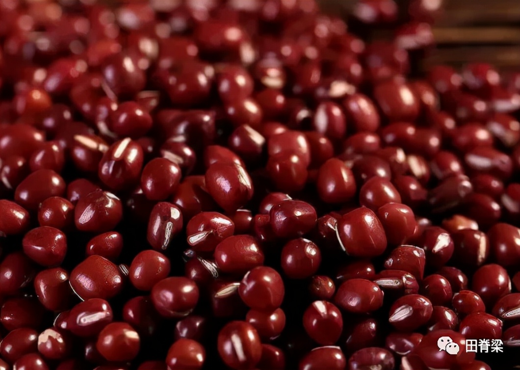 农业视觉怎么做,红豆的种植时间和种植方法