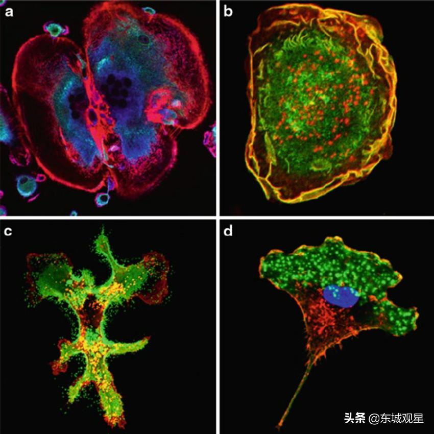 问天实验舱有多大,问天实验舱有哪些神奇之处