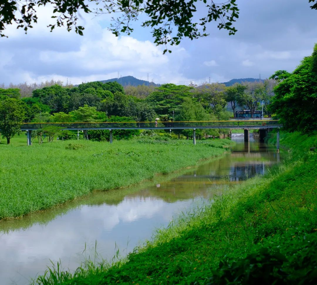 周末森林公园推荐深圳宝安,深圳森林公园登上山顶看美景