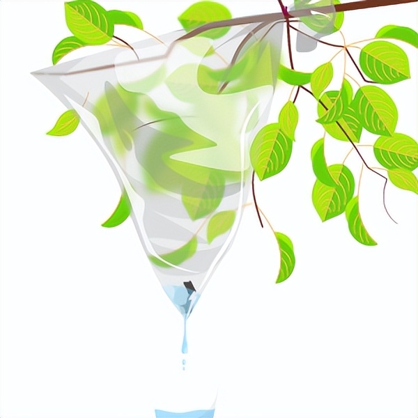 生火取水,户外饮水最靠谱的方法