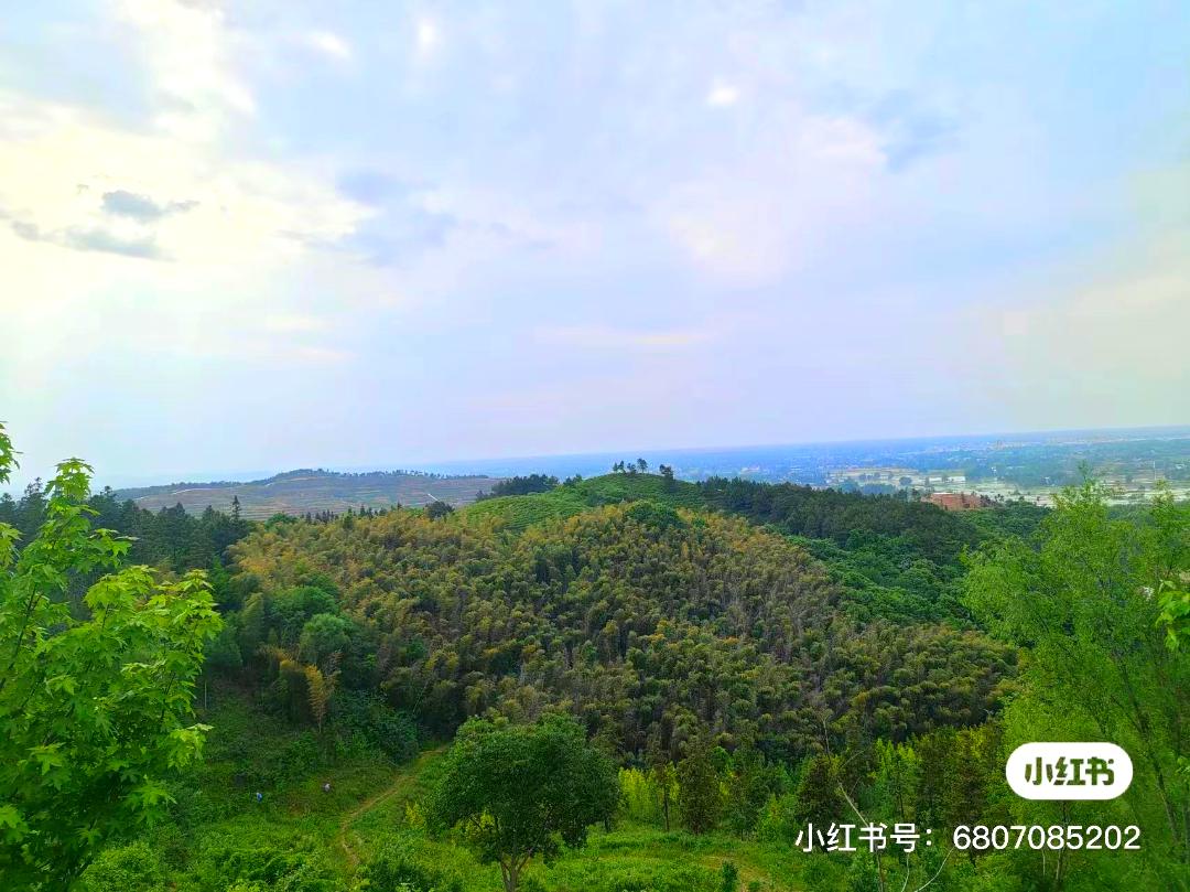 信阳十大旅游乡村,信阳周边乡村旅游景点推荐