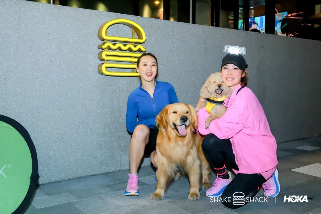 从阿尔卑斯山脉滑雪下来,从阿尔卑斯山飞下去