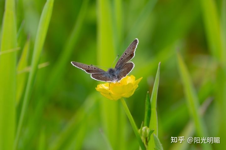 诗词歌赋飞花令,飞花令诗词歌赋古风模板