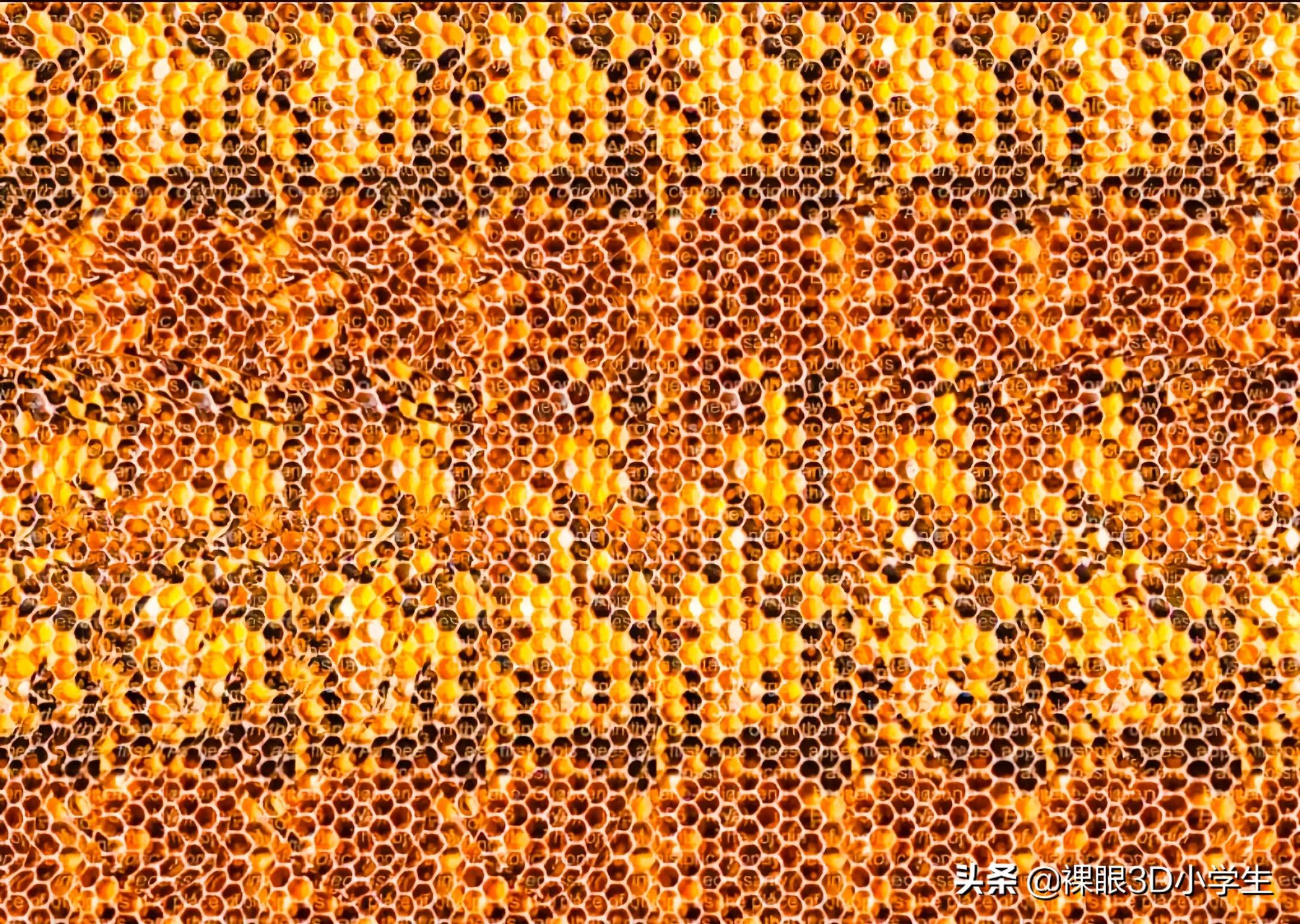 3d效果图图像纵横比例,立体图3d效果