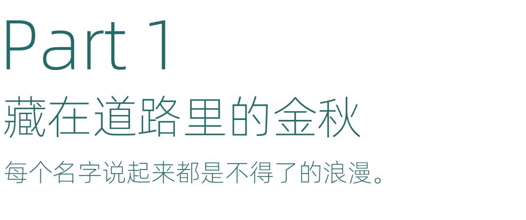 杭州秋日游攻略,杭州秋色上线这些赏秋地风景极佳