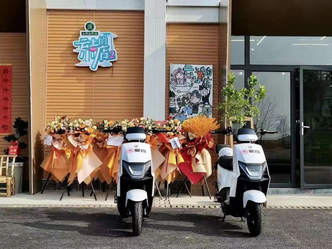 爱玛电动车哪款车比较好,2023值得推荐的爱玛电动车