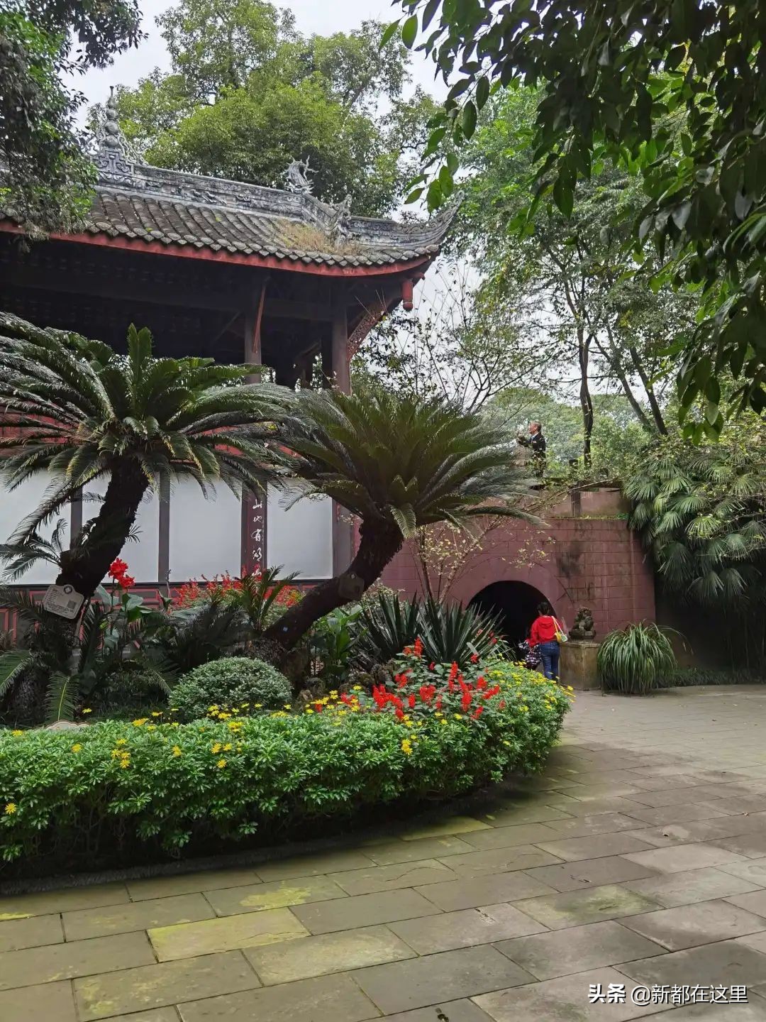 白兰华|那年我们过六一