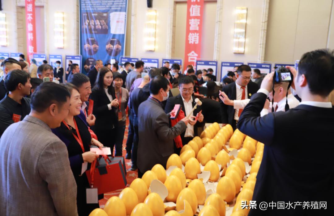 通威10000亿订单,通威股份获千亿订单