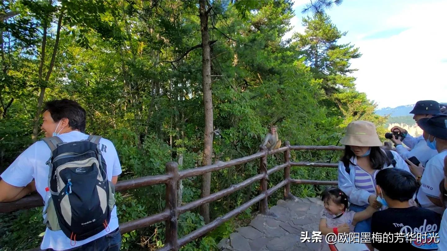 张家界自由行深度游全攻略,张家界亲子自驾游详细攻略