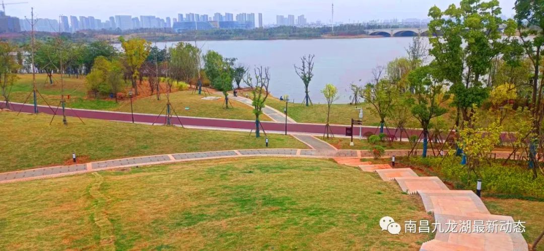 九龙湖运动主题公园,南昌九龙湖运动公园