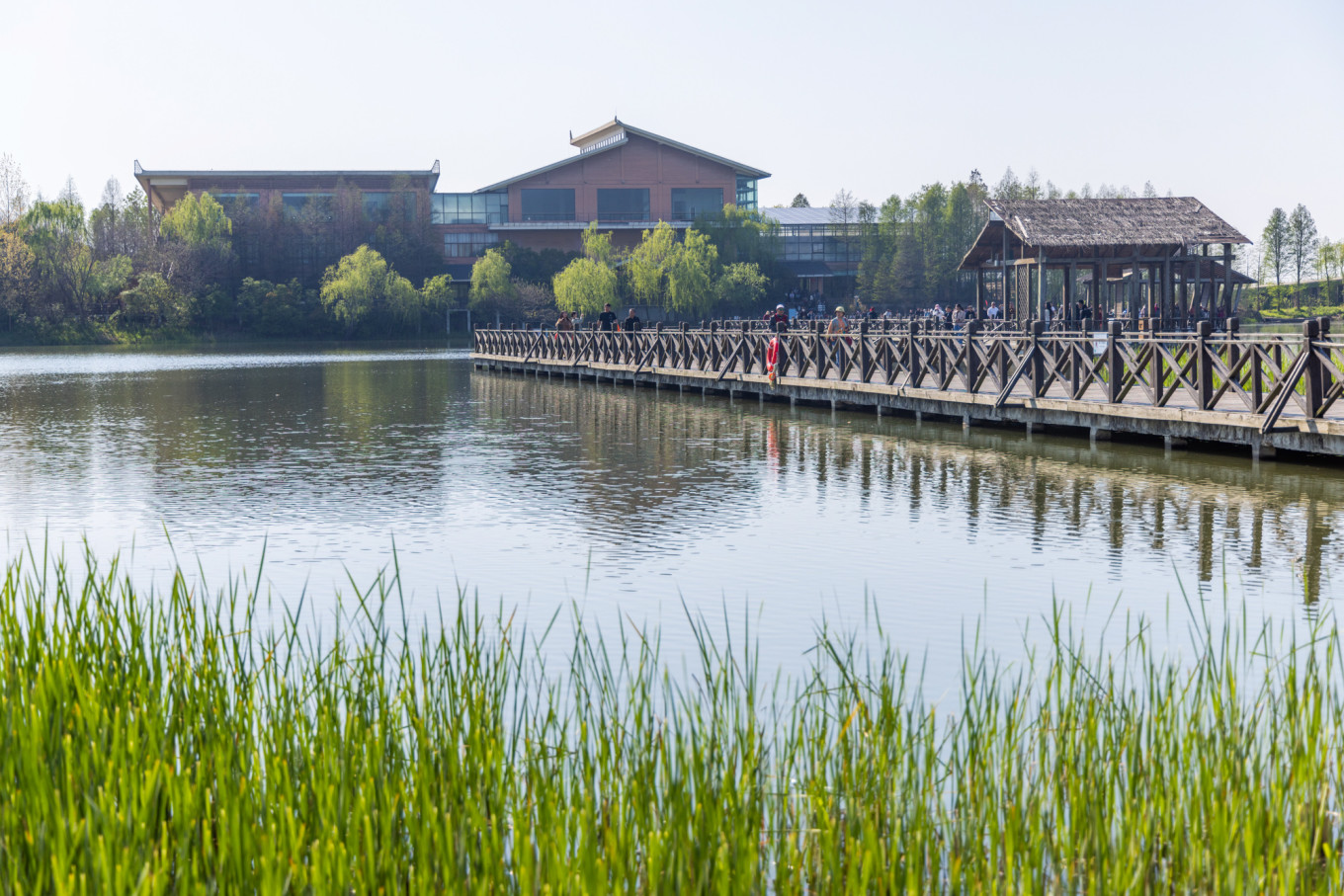 春日下江南杭州,春日下江南古镇