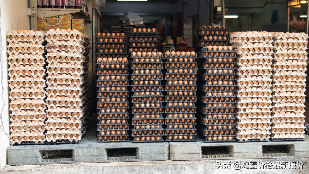 2022年4月19日鸡蛋价格行情,2022年河北馆陶市场今日鸡蛋价格