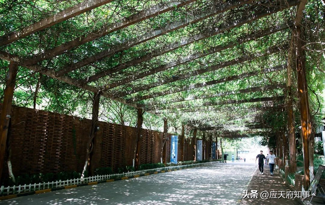 来南京不能错过的小众打卡地,南京江宁小众打卡点