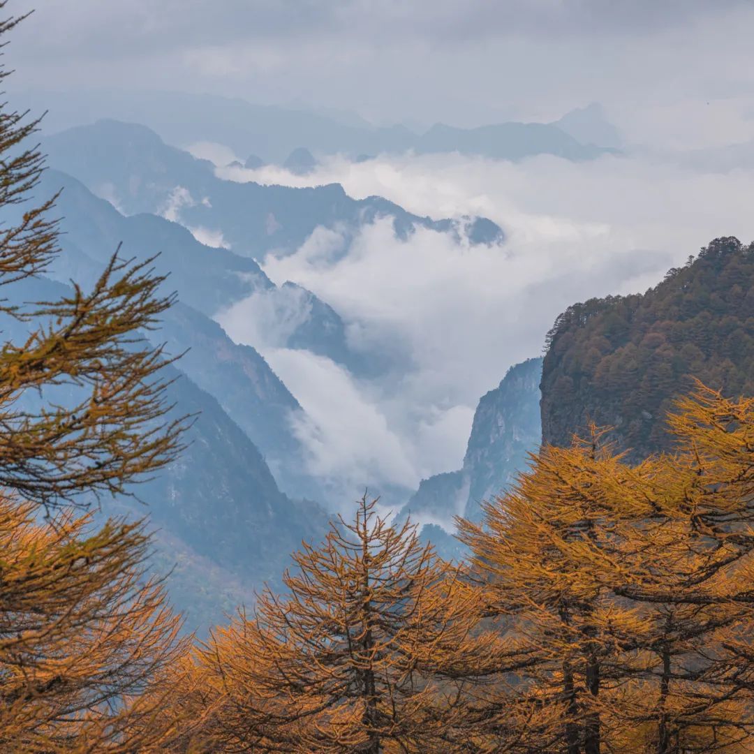 太白山是陕西最高点吗,秦岭最高峰太白山