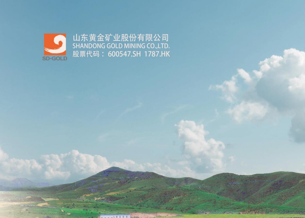 a股第一市值股,a股第一估值高成长股票