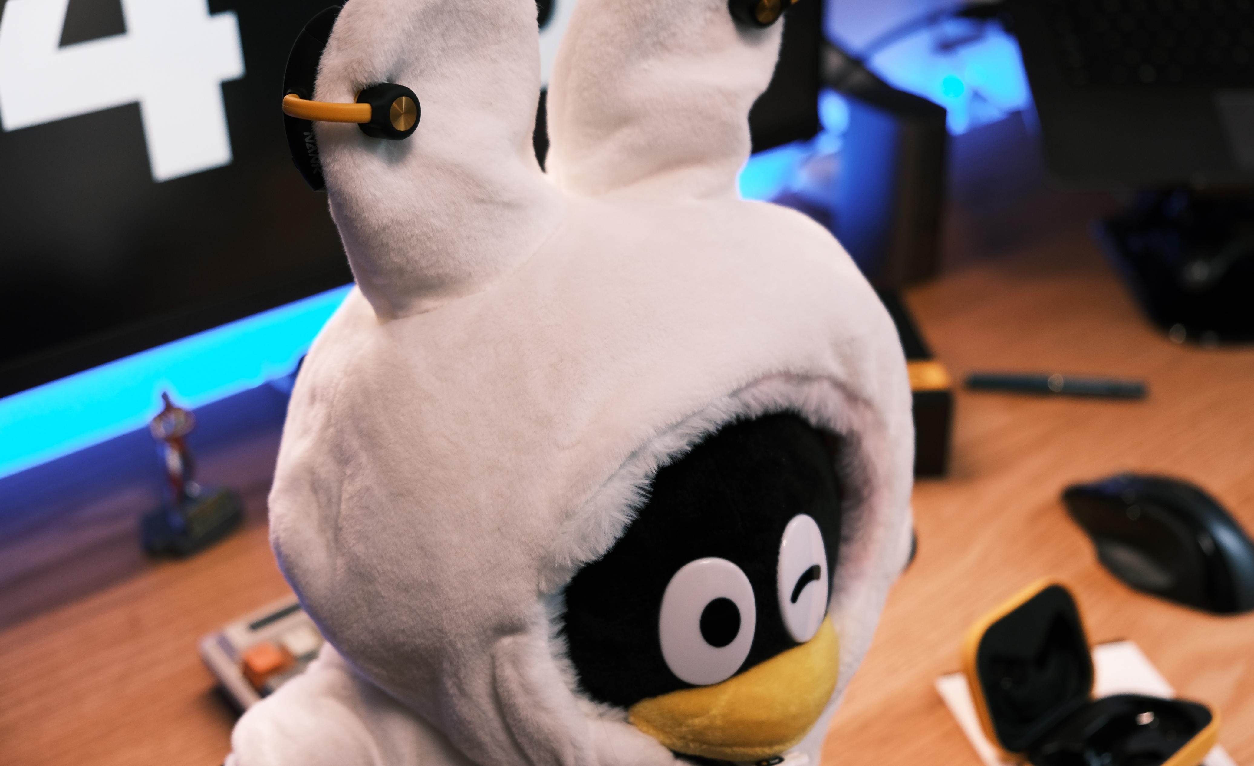 南卡oecc挂耳式蓝牙耳机,nank南卡oe真无线夹耳耳机怎么样