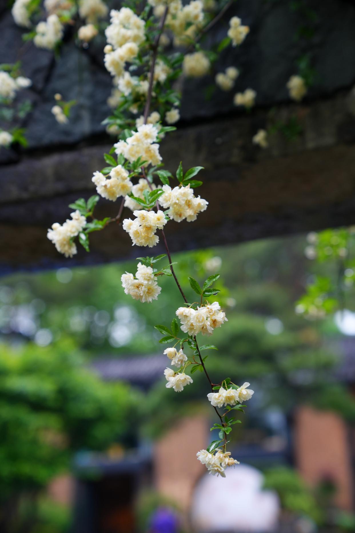杭州自驾2小时，人间仙境，大美建德，美景美食美宿超实用攻略