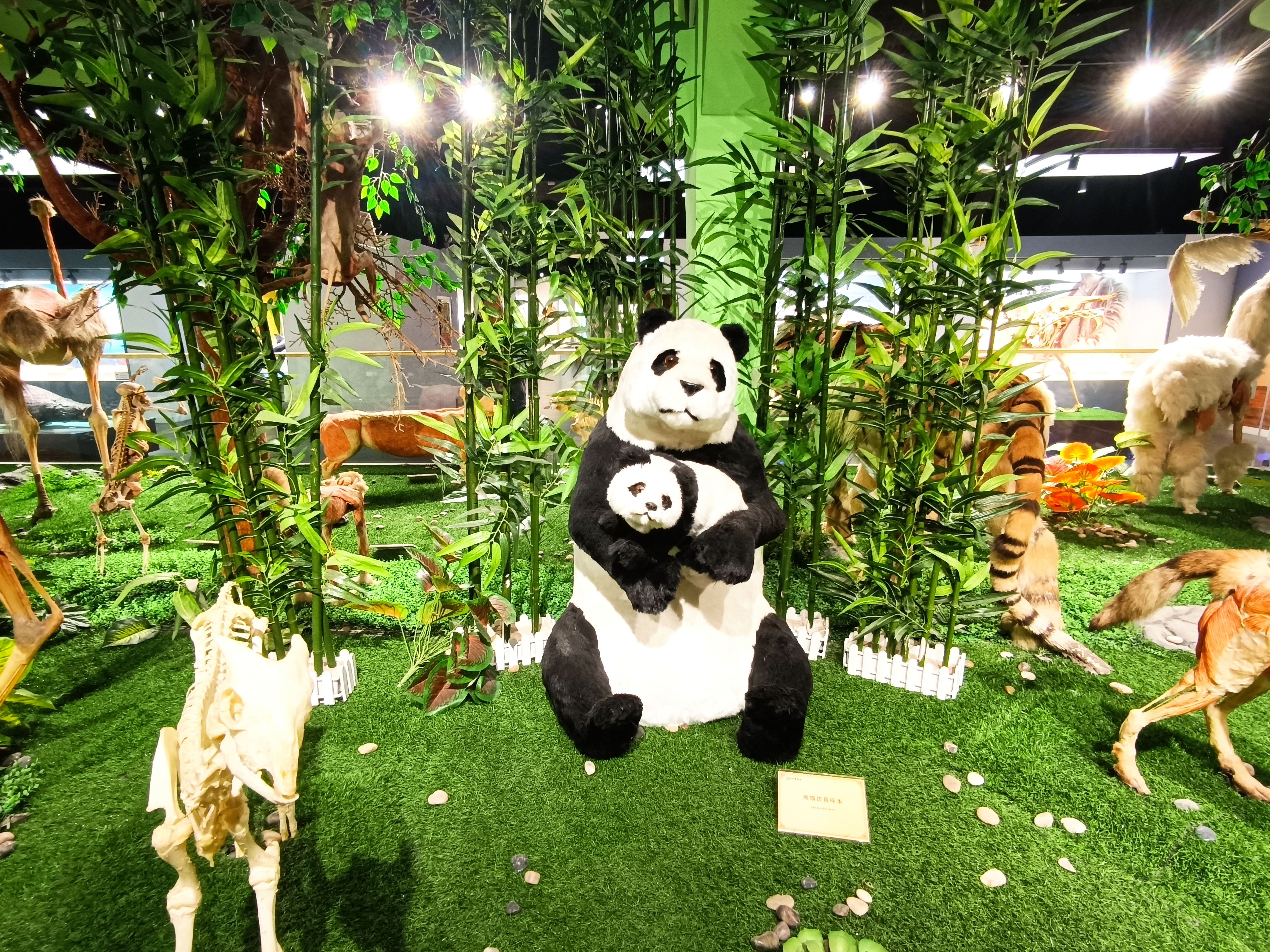 郑州研学景点简介,郑州研学旅行基地有哪些