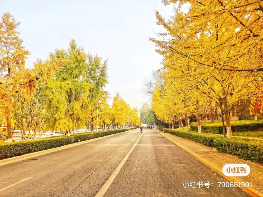 25年最挣钱的行业,25年自行车市场